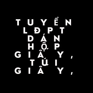 Tuyển LĐPT Dán Hộp Giấy, Túi Giấy,